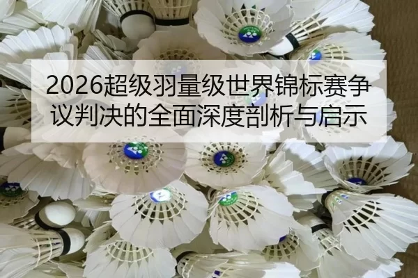2026超级羽量级世界锦标赛争议判决的全面深度剖析与启示