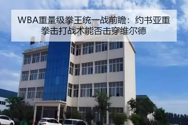WBA重量级拳王统一战前瞻：约书亚重拳击打战术能否击穿维尔德