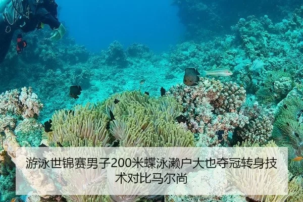 you-yong-shi-jin-sai-nan-zi-mi-die-yong-lai-hu-da-ye-duo-guan-zhuan-shen-ji-shu-dui-bi-ma-er-shang-3-569.jpg